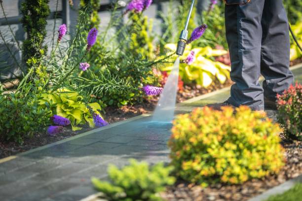 Best Sidewalk and Walkway Cleaning  in Gallatin, TN